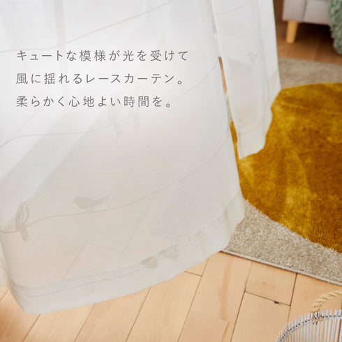 100×176cm シングバードボイル.|s3